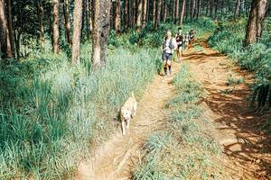 BIB: 
                            <button type="button" onclick="openModal(25653650)" class="btn btn-primary btn-sm float-right btn-popup" data-toggle="modal" data-target=".modal-high-quality">
                        <i class="fas fa-shopping-cart"></i> Add to Cart
                    </button>
                                            <button type="button" onclick="isThisMe(25653650, true)" class="btn btn-success btn-sm float-right btn-popup btn-isme hidden" data-toggle="tooltip" data-placement="bottom" title="นี่คือรูปของคุณใช่ไหม คลิกที่นี่เพื่อเอาเข้าอัลบั้ม">
                        <i class="fas fa-plus"></i> Add to album
                    </button>
                    <button type="button" onclick="isThisMe(25653650, false)" class="btn btn-warning btn-sm float-right btn-popup btn-isnotme hidden">
                        <i class="fas fa-ban"></i> Remove from album
                    </button>